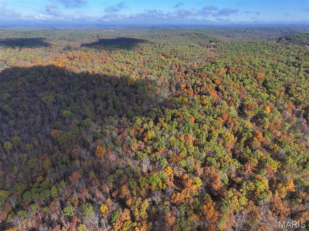 0 Tower Road Bonne Terre, MO 63628 - Photo 13 of 28