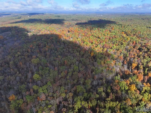 $450,000 | 0 Tower Road, Bonne Terre, MO 63628