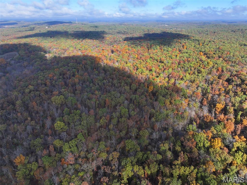 0 Tower Road Bonne Terre, MO 63628 - Photo 14 of 28