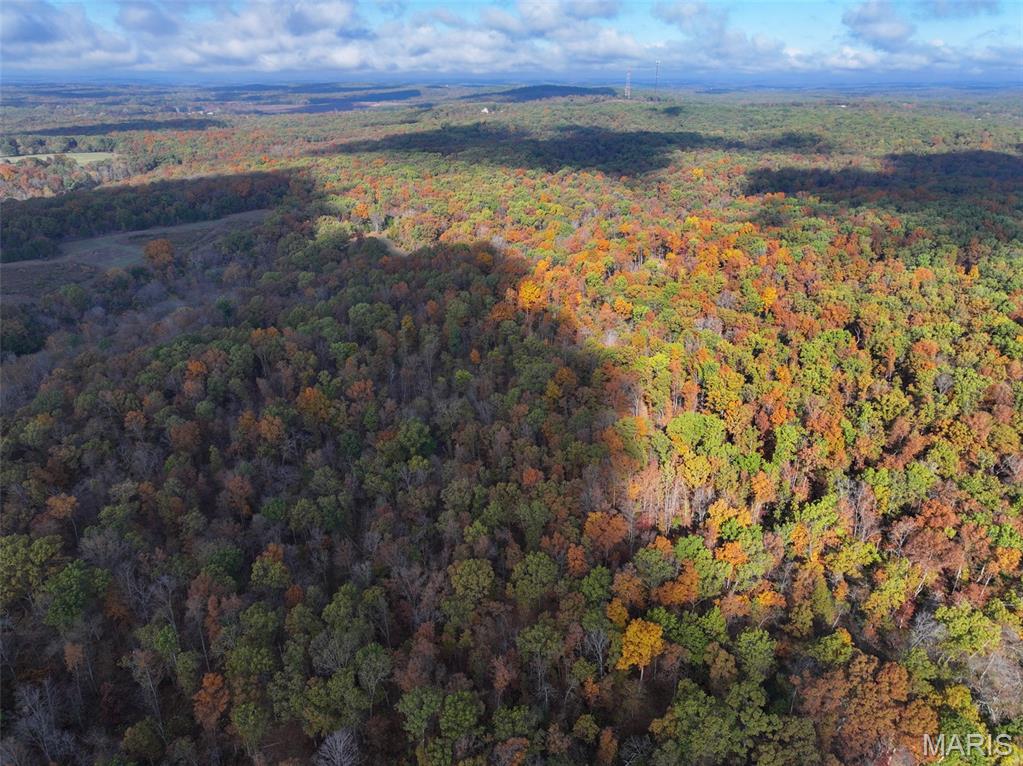 0 Tower Road Bonne Terre, MO 63628 - Photo 15 of 28