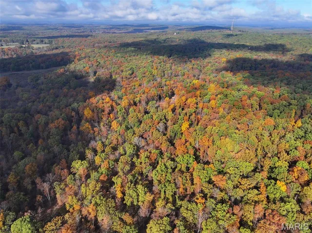 $450,000 | 0 Tower Road, Bonne Terre, MO 63628