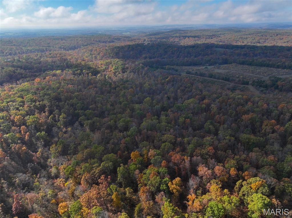 0 Tower Road Bonne Terre, MO 63628 - Photo 17 of 28