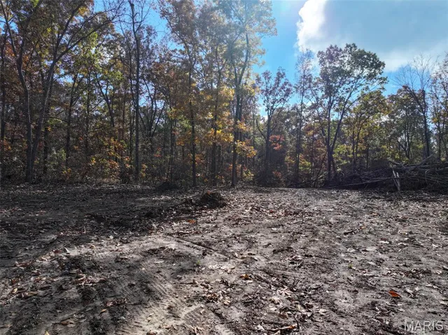 $450,000 | 0 Tower Road, Bonne Terre, MO 63628