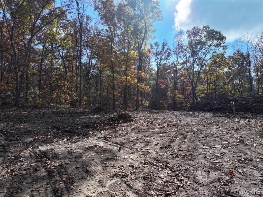 0 Tower Road Bonne Terre, MO 63628 - Photo 18 of 28