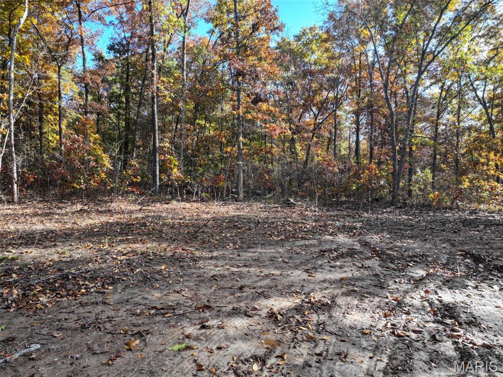 0 Tower Road Bonne Terre, MO 63628 - Photo 19 of 28