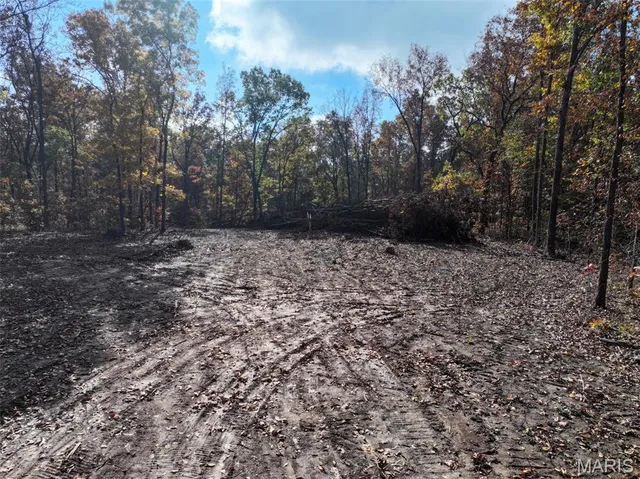 $450,000 | 0 Tower Road, Bonne Terre, MO 63628