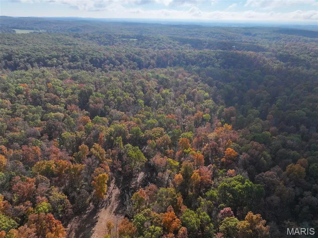 $450,000 | 0 Tower Road, Bonne Terre, MO 63628