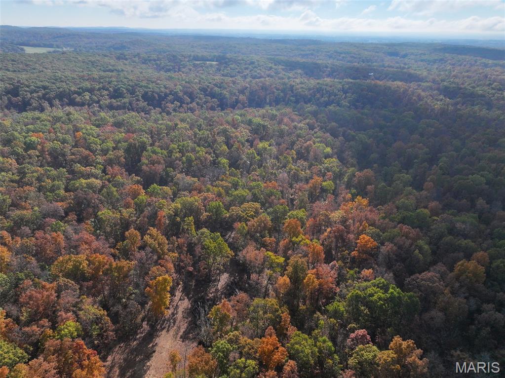 0 Tower Road Bonne Terre, MO 63628 - Photo 2 of 28