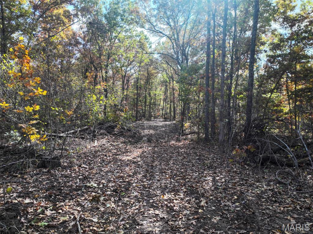 0 Tower Road Bonne Terre, MO 63628 - Photo 22 of 28