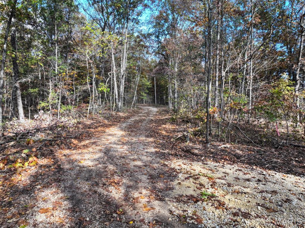 0 Tower Road Bonne Terre, MO 63628 - Photo 24 of 28