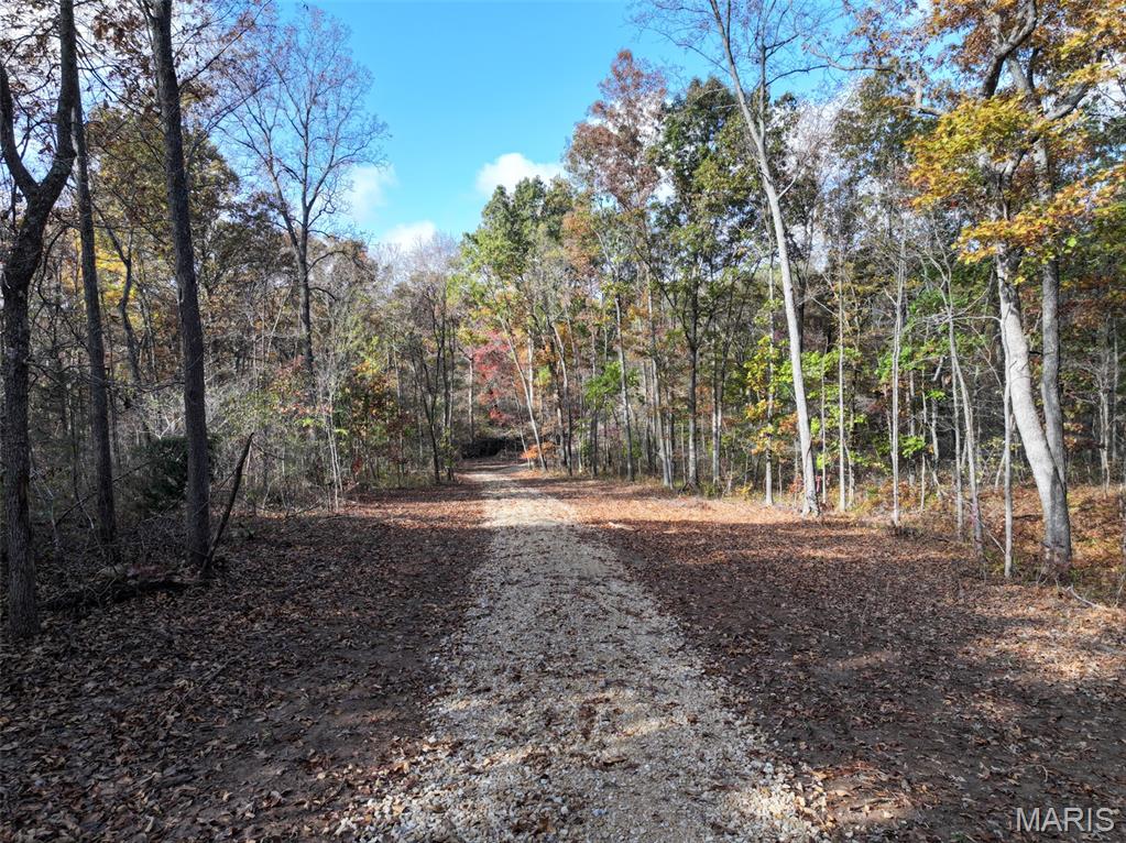 0 Tower Road Bonne Terre, MO 63628 - Photo 4 of 28