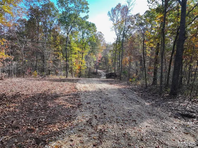 $450,000 | 0 Tower Road, Bonne Terre, MO 63628