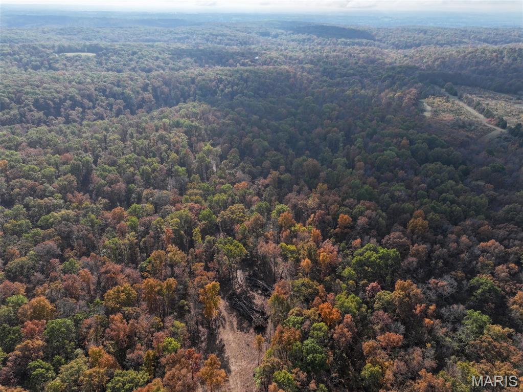 0 Tower Road Bonne Terre, MO 63628 - Photo 6 of 28