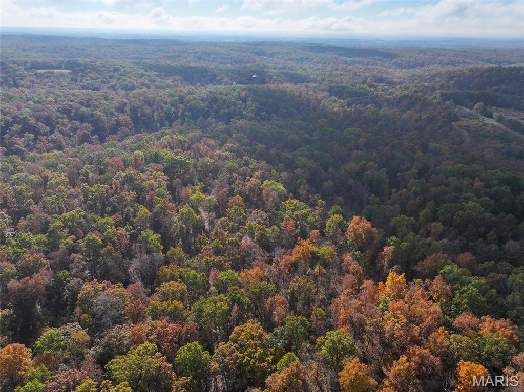 0 Tower Road Bonne Terre, MO 63628 - Photo 8 of 28