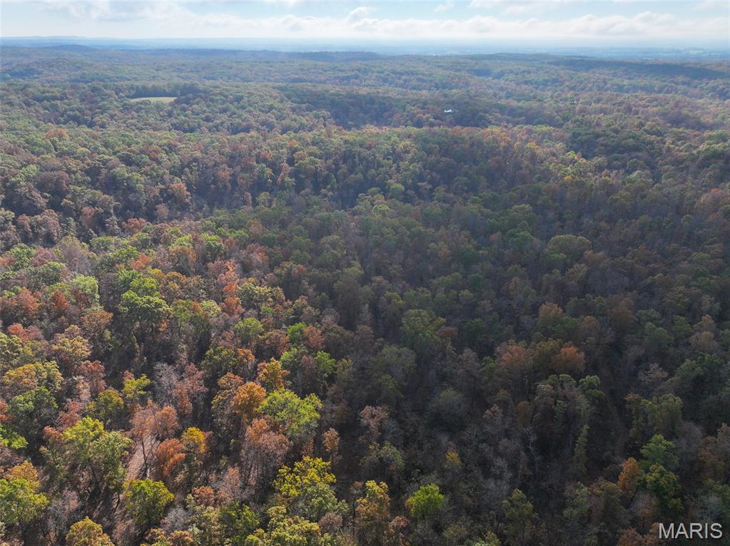 0 Tower Road Bonne Terre, MO 63628 - Photo 9 of 28