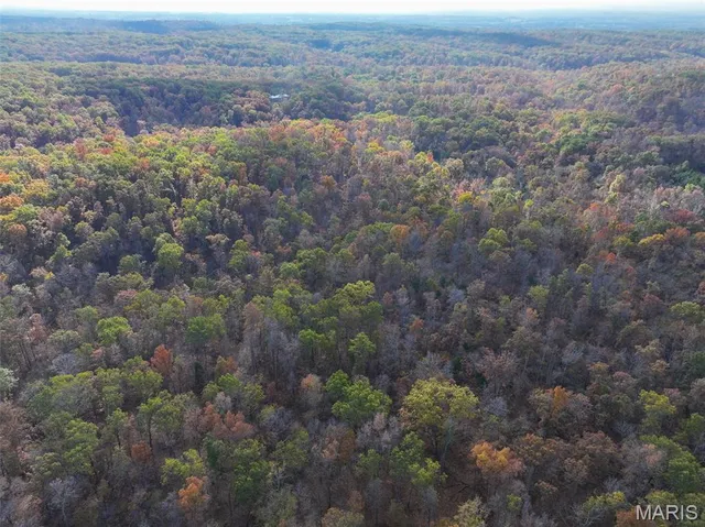 $450,000 | 0 Tower Road, Bonne Terre, MO 63628