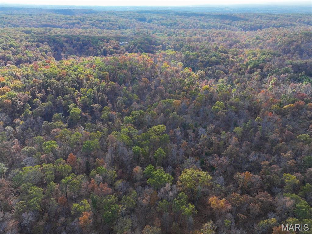 0 Tower Road Bonne Terre, MO 63628 - Photo 10 of 28