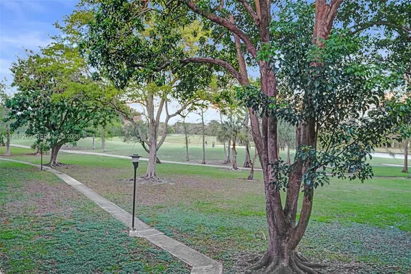 a view of a yard in front of a tree