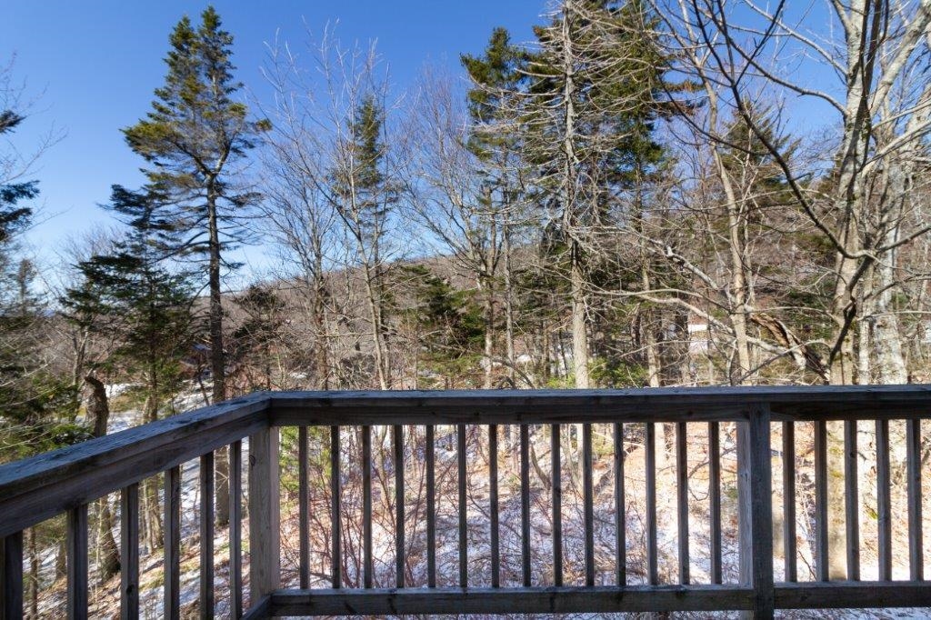 53 Birches Way, Unit BA1 Peru, VT 05152 - Photo 14 of 40 Gallery Image 14