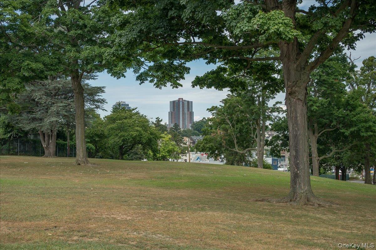 126 Church Street, Unit 3M New Rochelle, NY 10805 - Photo 19 of 25 a view of a garden