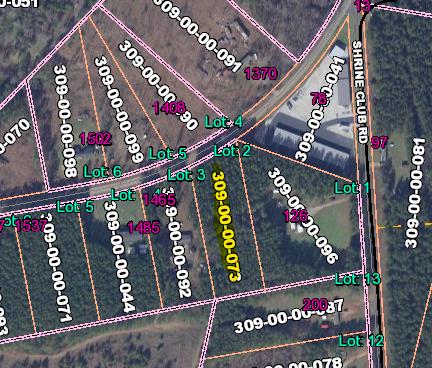 Lot 2 Dillard Road Waterloo, SC 29384 - Photo 1 of 3 Gallery Image 1