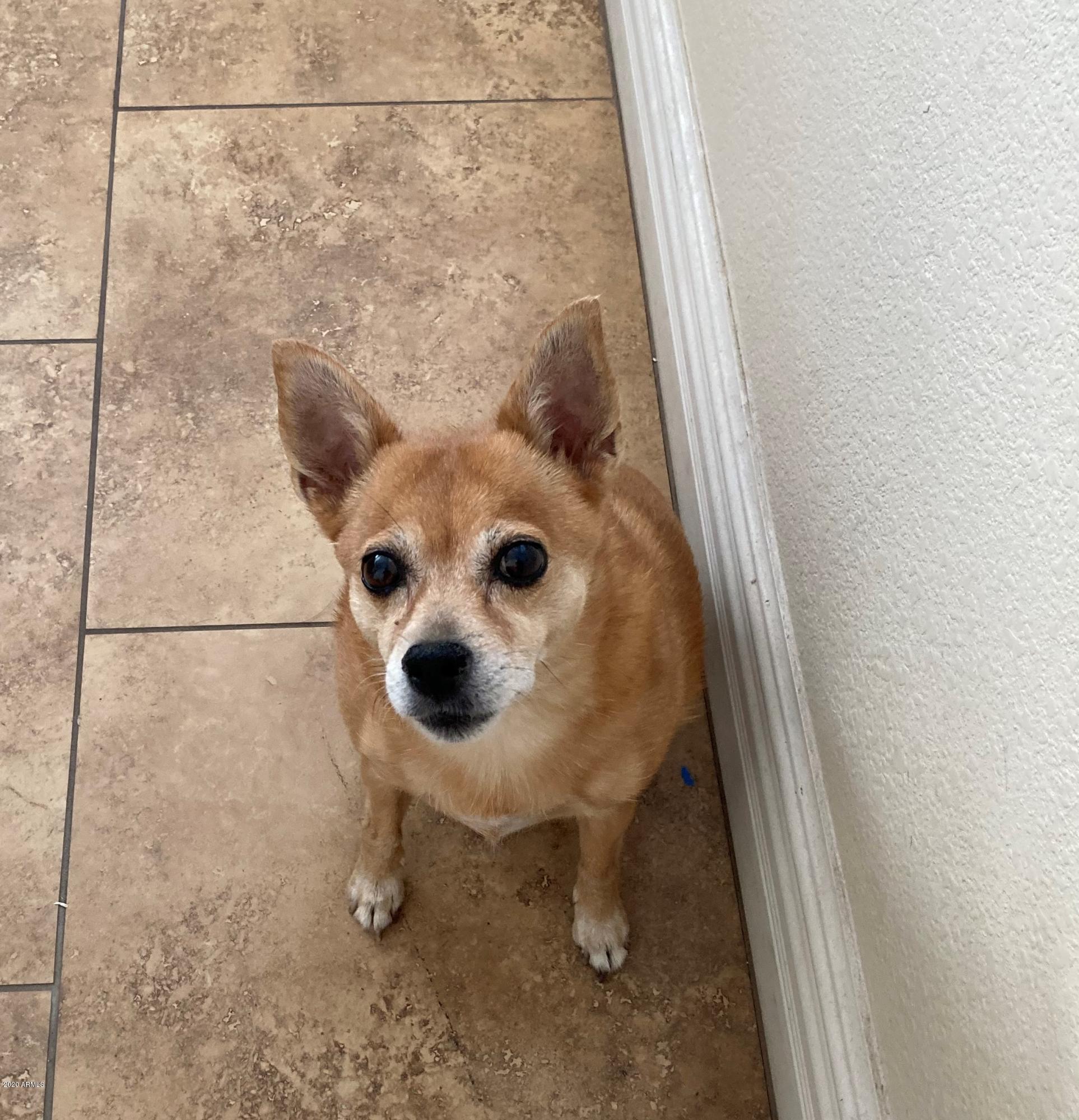 1739 East Granada Road Phoenix, AZ 85006 - Photo 34 of 35 zowie