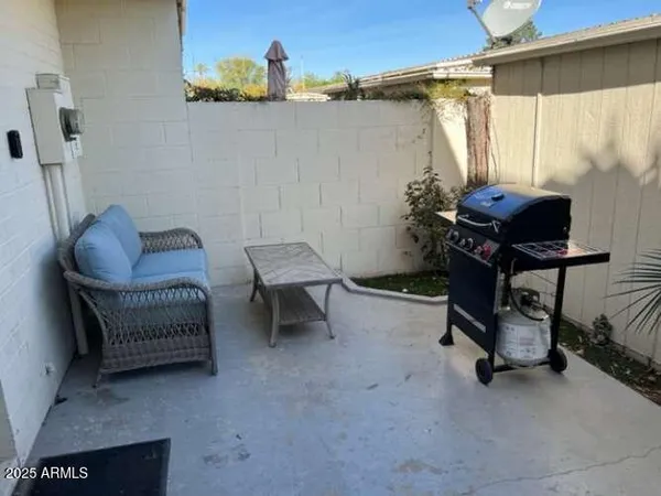 a park with large trees