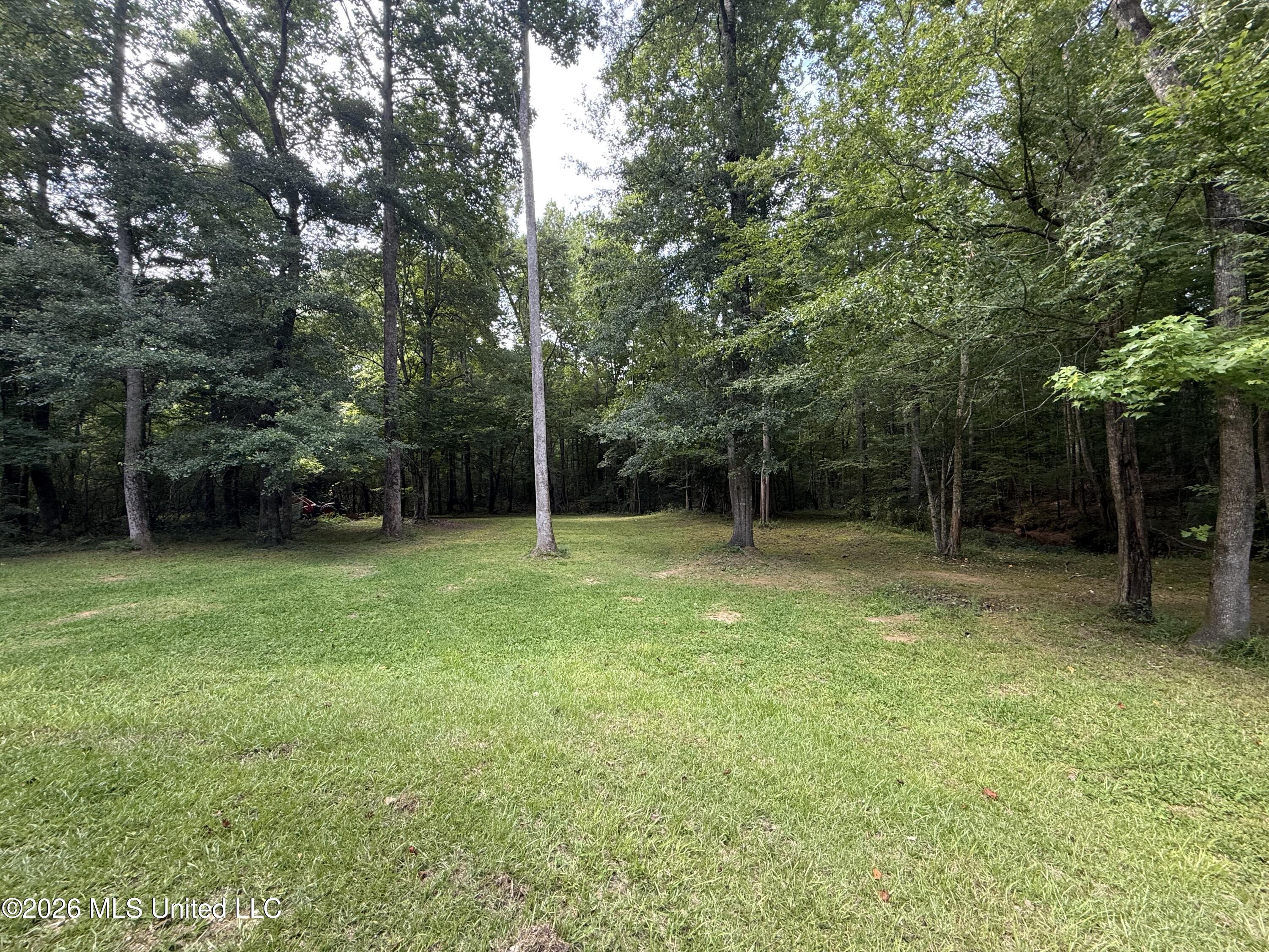 1167 Todd Road Summit, MS 39666 - Photo 29 of 39 IMG_7235