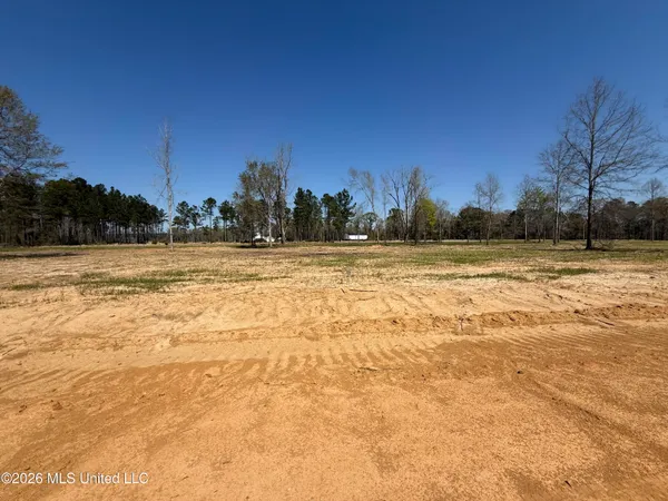 $34,900 | Lot 3 Oakley Lane, Lucedale, MS 39452