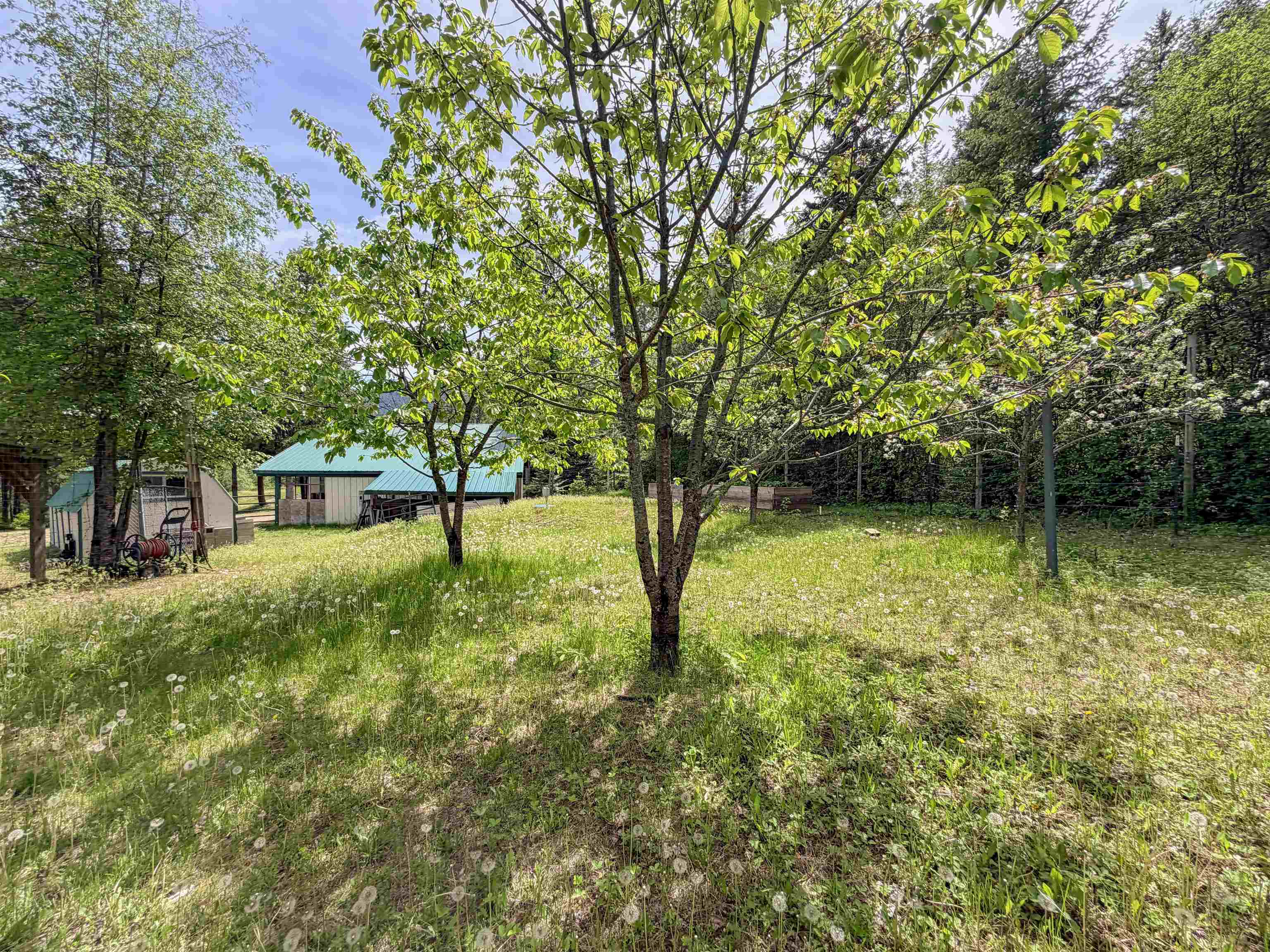 2015 Thoni Road Addy, WA 99101 - Photo 50 of 50