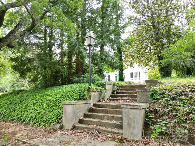 a view of a yard with plants and large trees