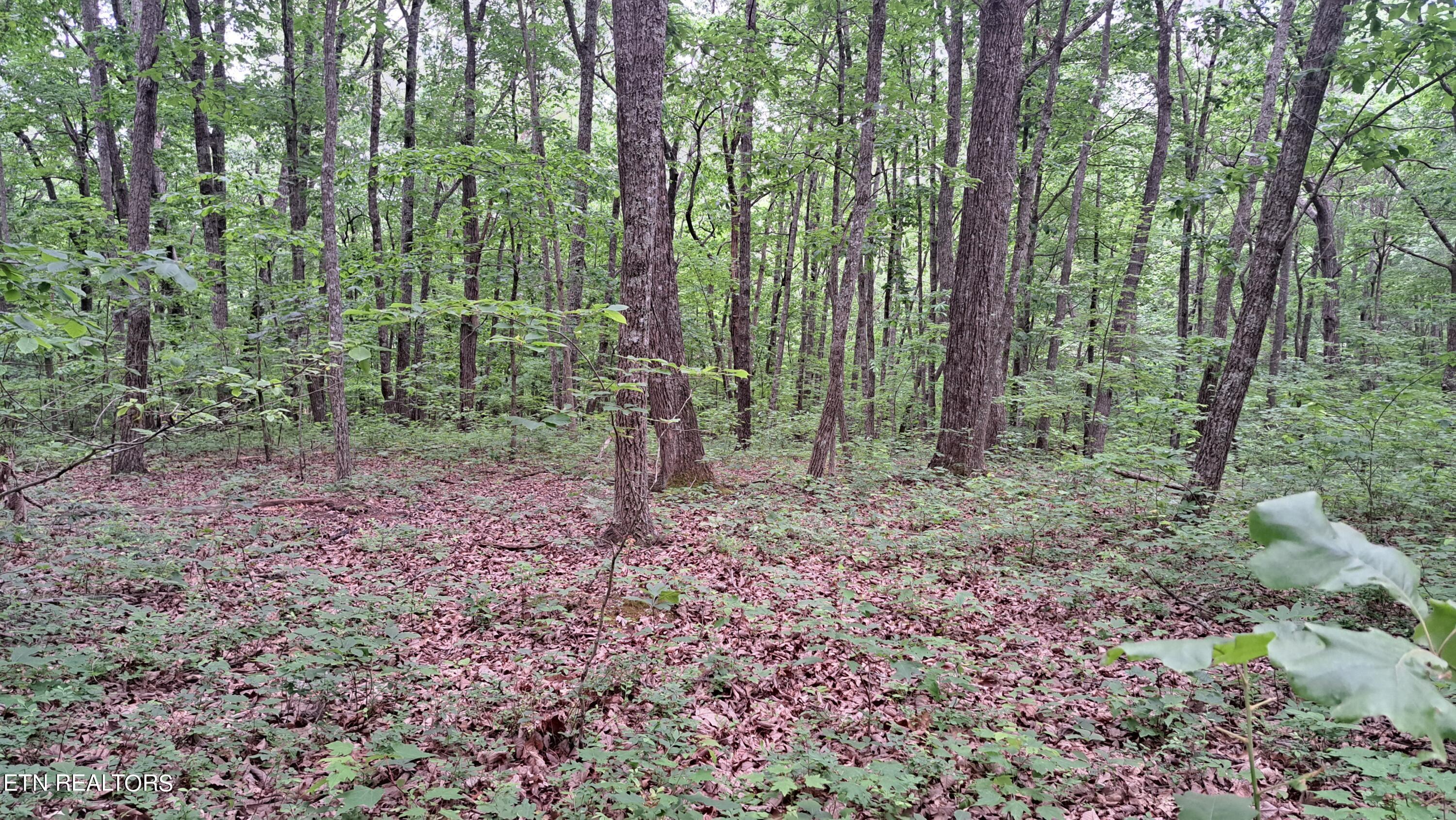 Hill Road Crossville, TN 38572 - Photo 28 of 35 20240522_170517