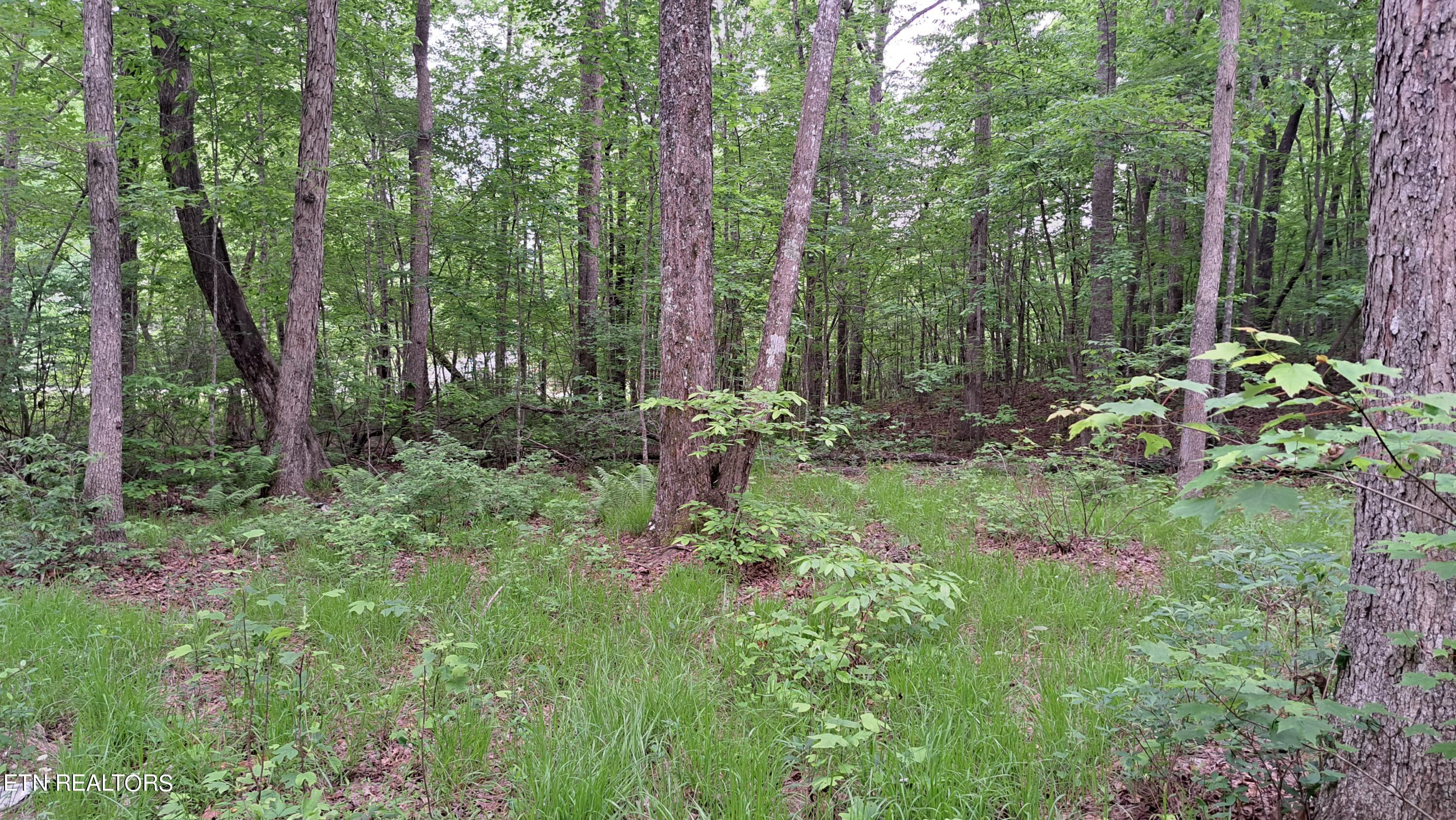 Hill Road Crossville, TN 38572 - Photo 3 of 35 20240522_161956