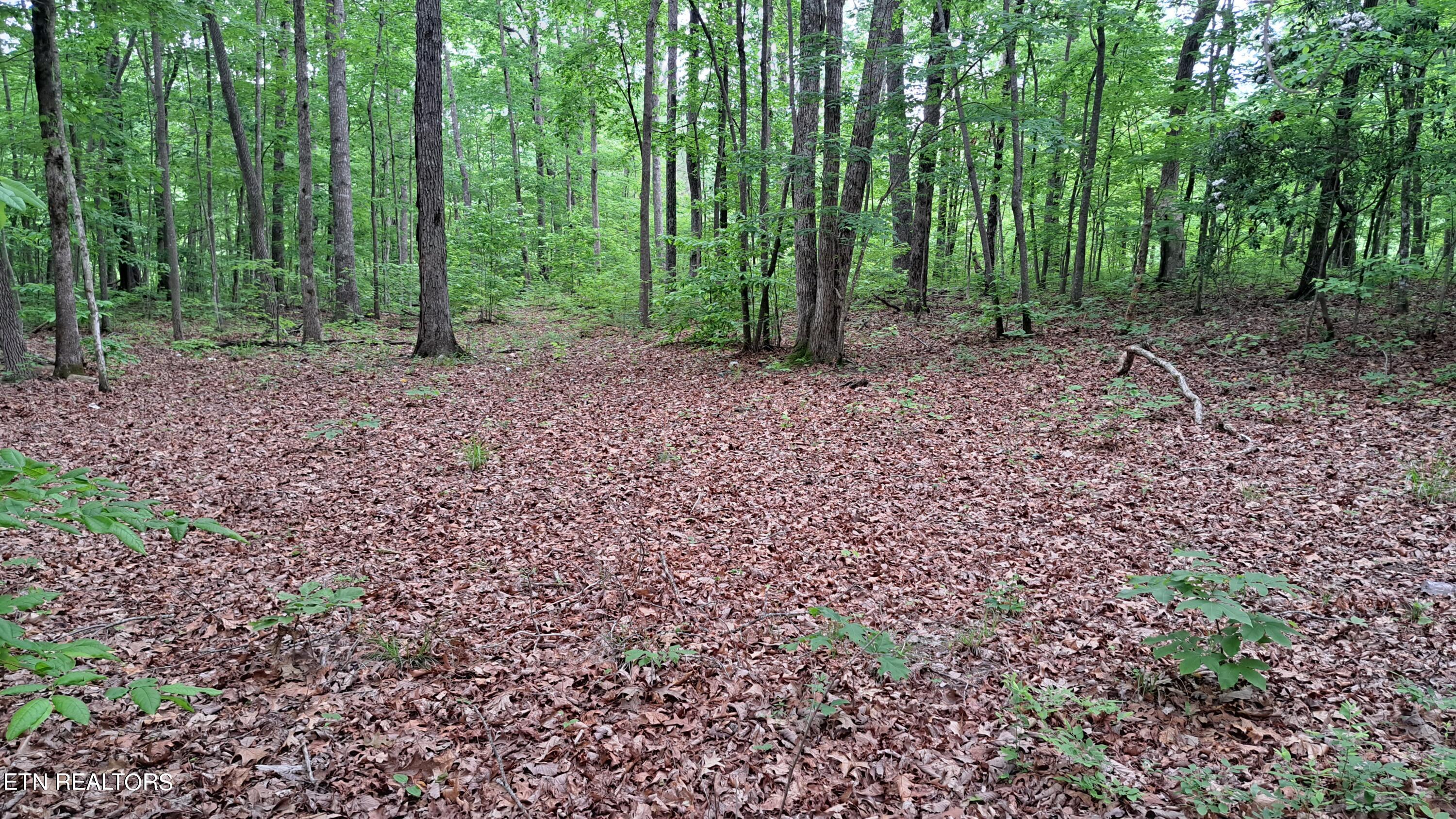 Hill Road Crossville, TN 38572 - Photo 5 of 35 20240522_162209
