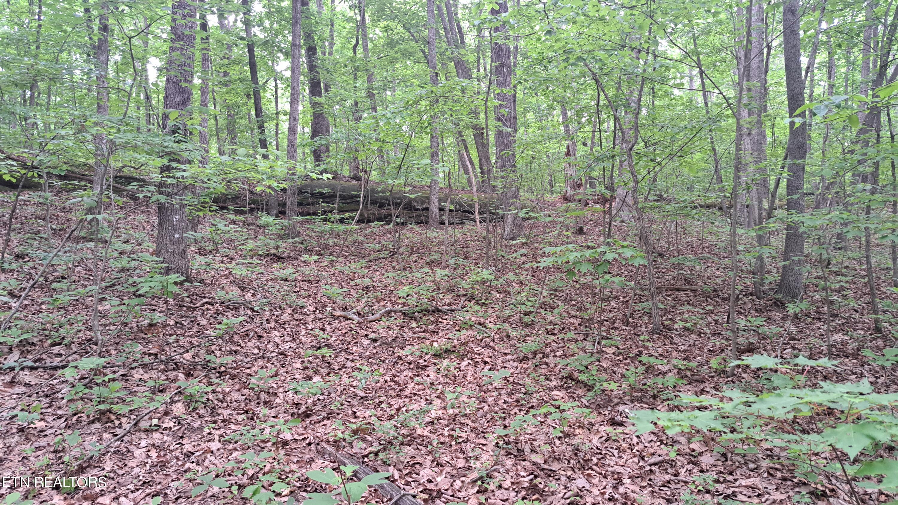 Hill Road Crossville, TN 38572 - Photo 8 of 35 20240522_165157