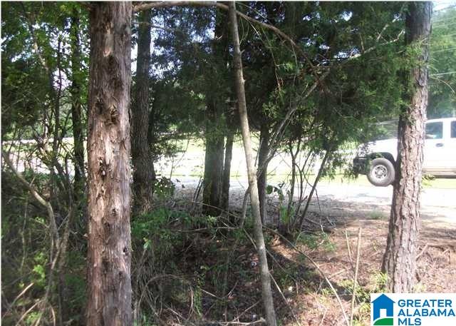 0 Collins Road Ohatchee, AL 36271 - Photo 6 of 6