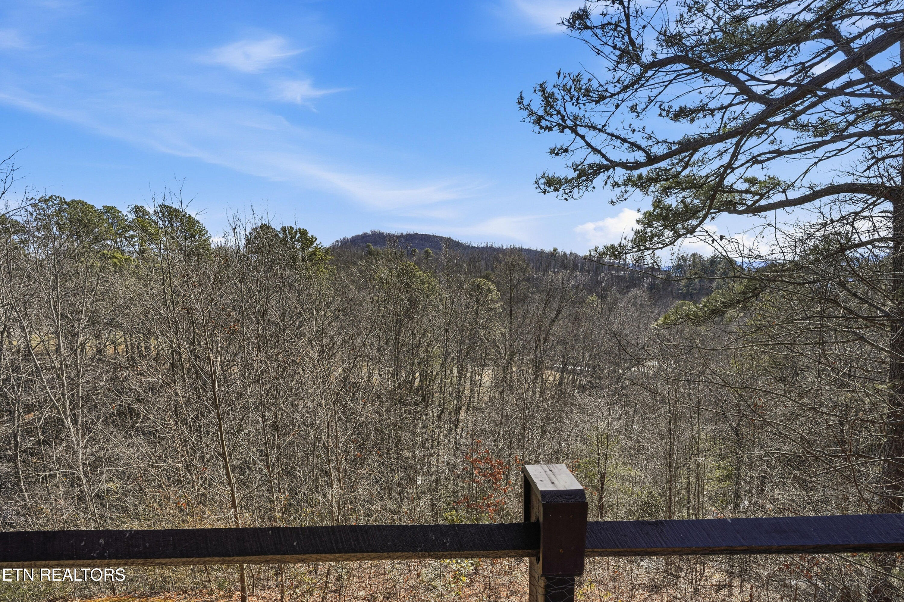 1081 Cove Road, Unit 1024 Sevierville, TN 37876 - Photo 21 of 39 1081CoveRdunit1024-21