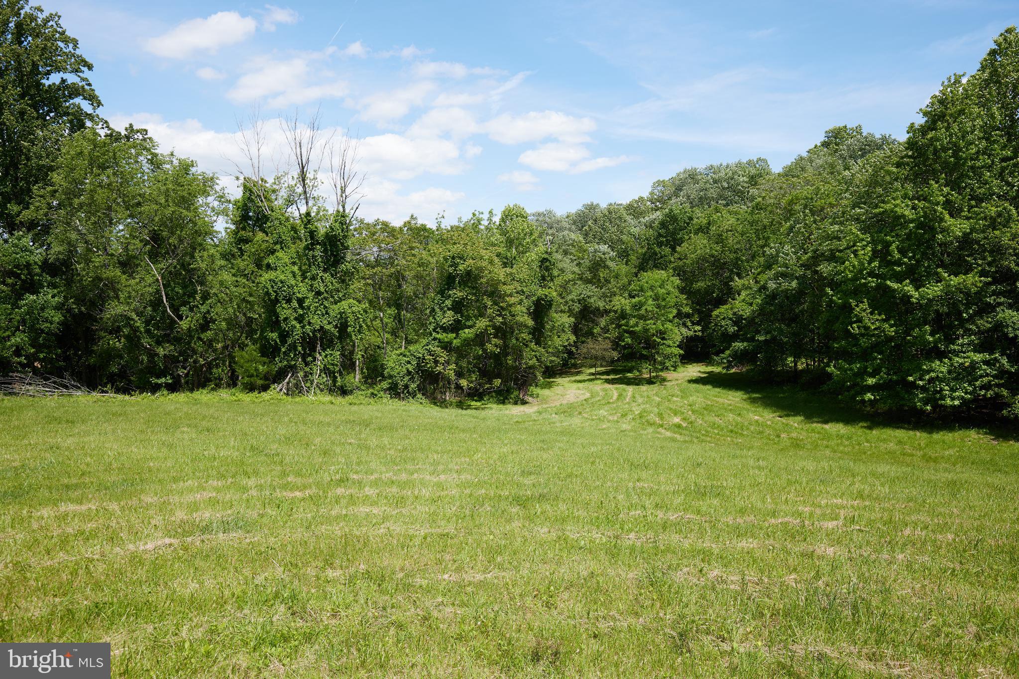 22500 Old Hundred Road Barnesville, MD 20838 - Photo 36 of 60 a view of a field with an trees