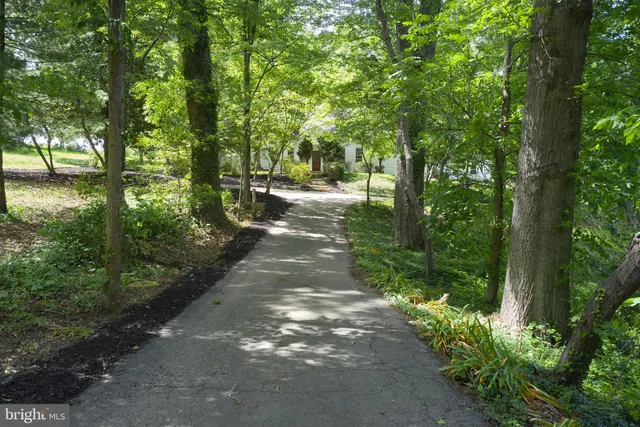 a park view with a bench in garden