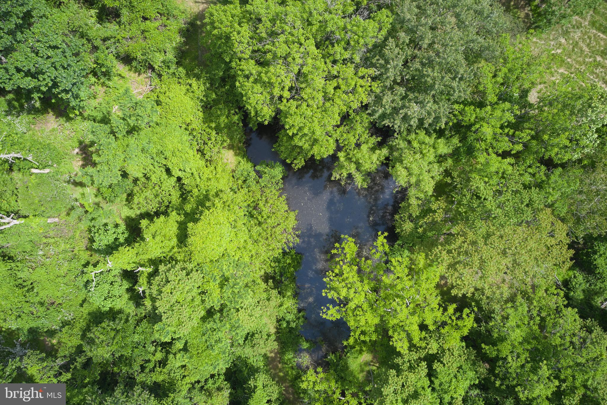 22500 Old Hundred Road Barnesville, MD 20838 - Photo 48 of 60 Aerial of pond