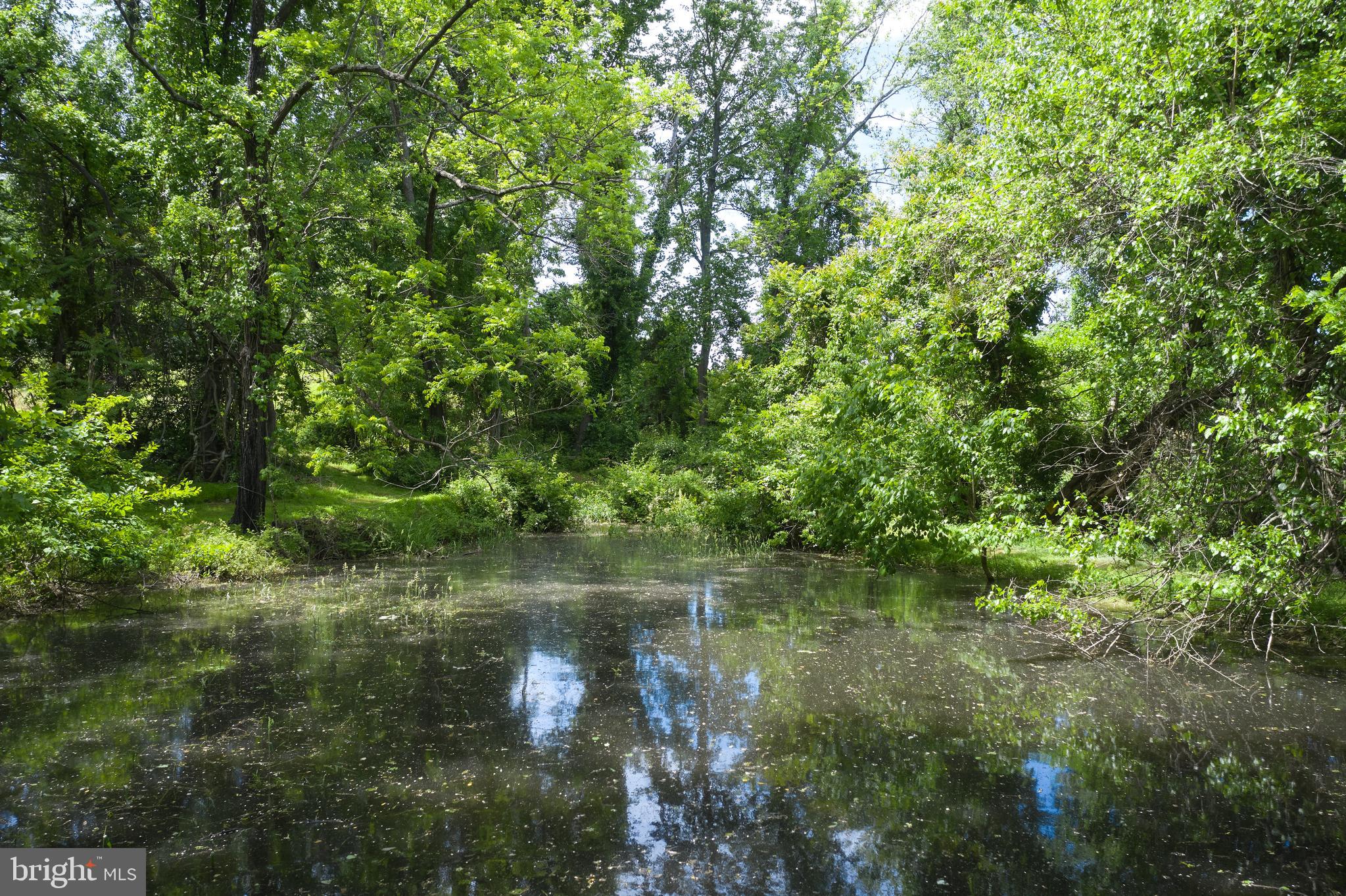 22500 Old Hundred Road Barnesville, MD 20838 - Photo 49 of 60 Spring fed pond