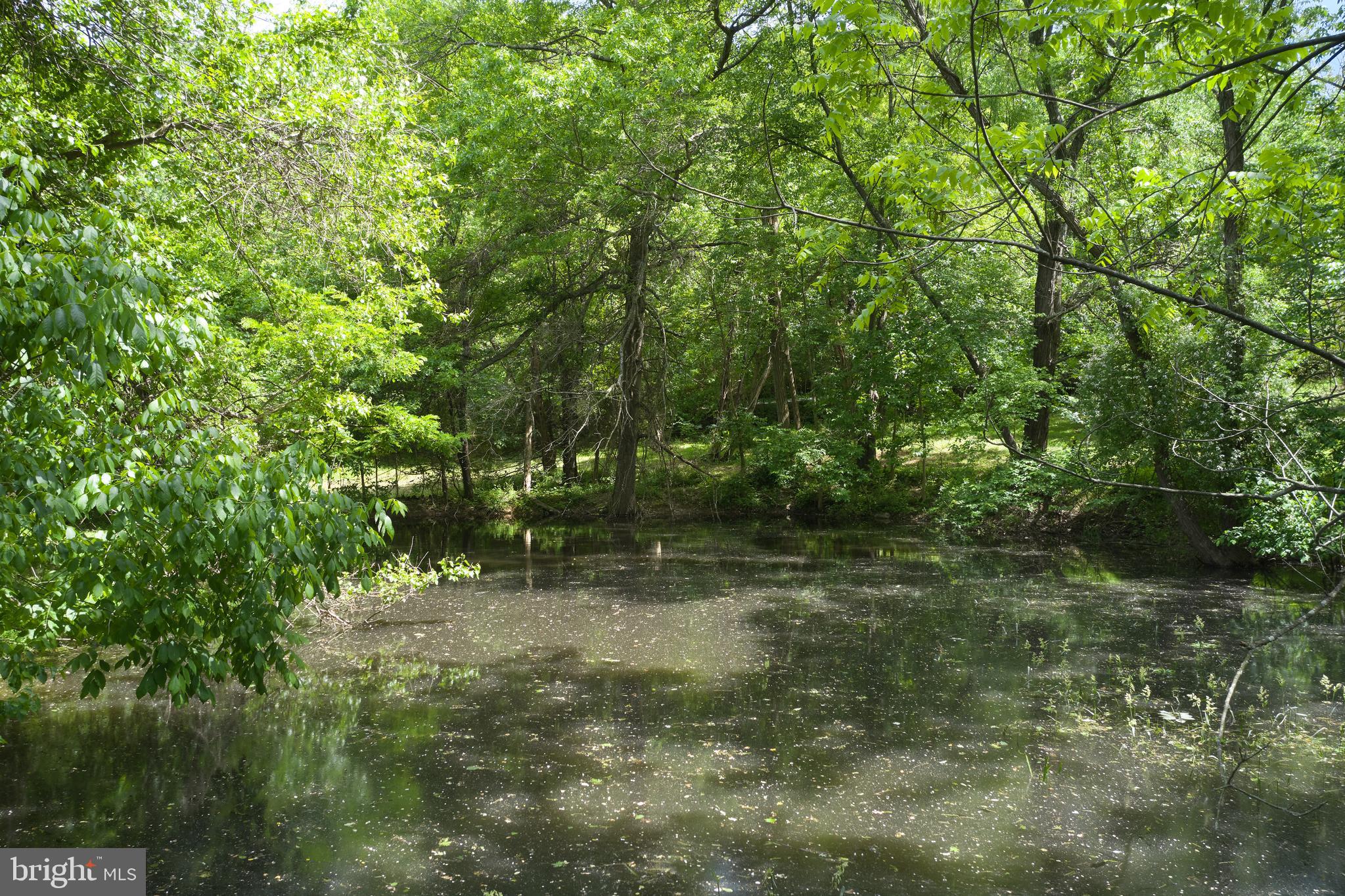 22500 Old Hundred Road Barnesville, MD 20838 - Photo 50 of 60 a view of outdoor space and green space