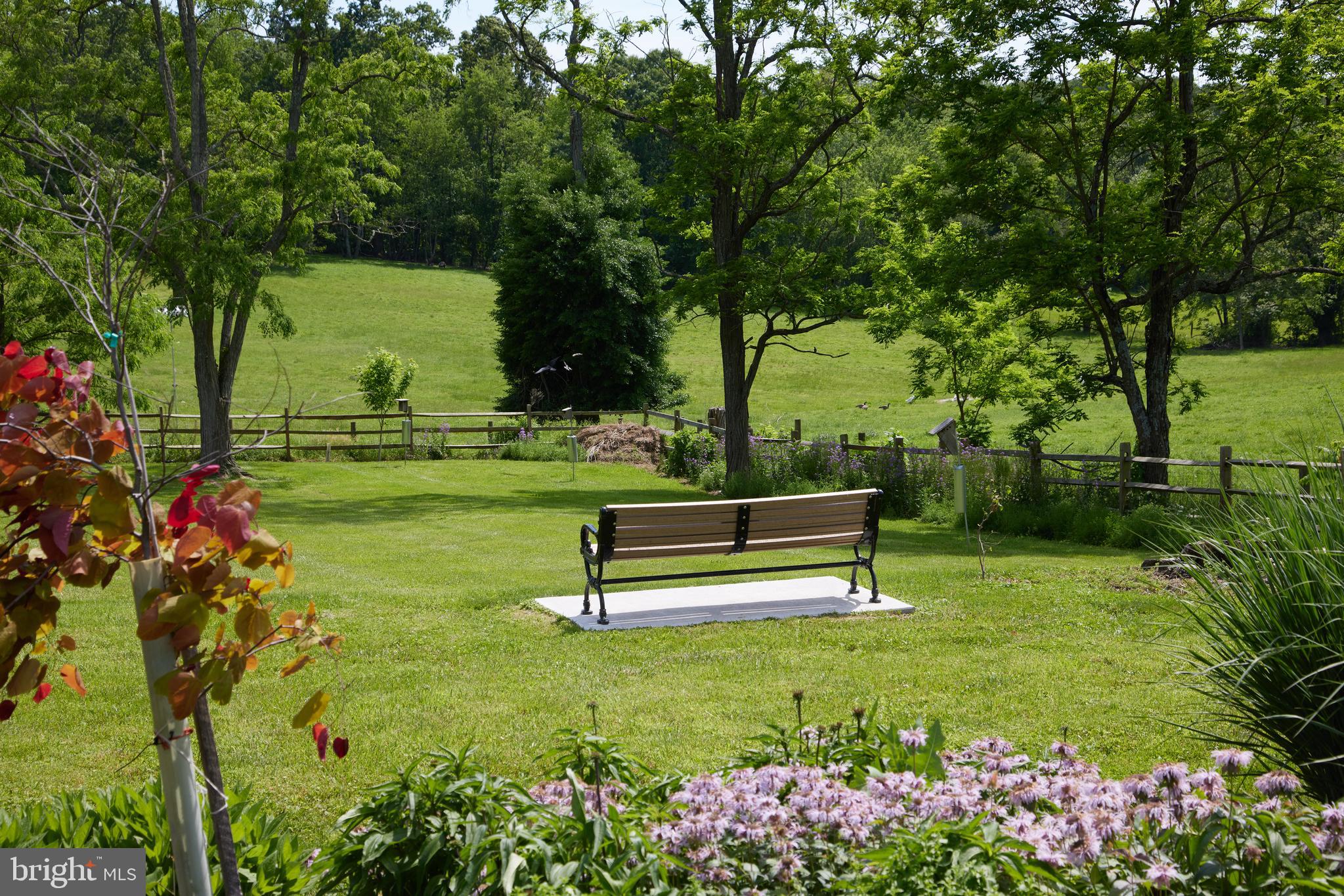 22500 Old Hundred Road Barnesville, MD 20838 - Photo 56 of 60 a park view with a bench in garden
