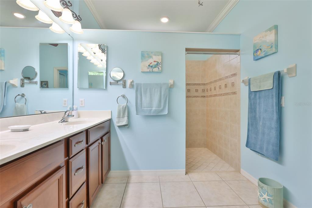 147 Silver Falls Drive Apollo Beach, FL 33572 - Photo 29 of 72