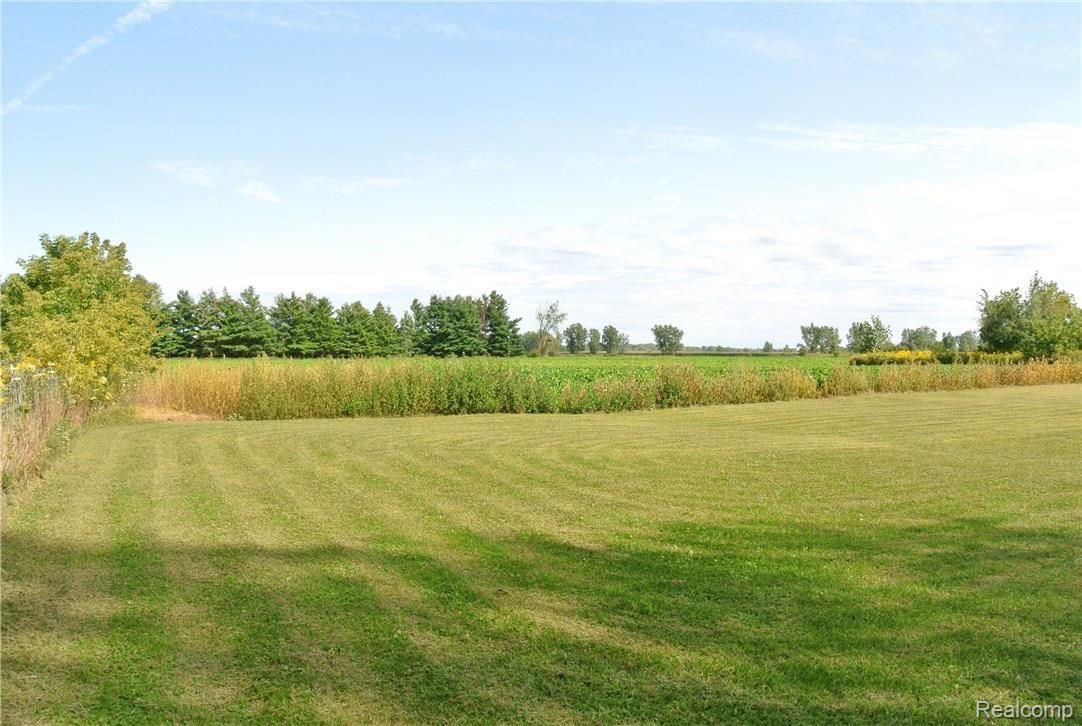 5185 Maple Valley Road Brown City, MI 48416 - Photo 19 of 46 DSC_7553.JPG