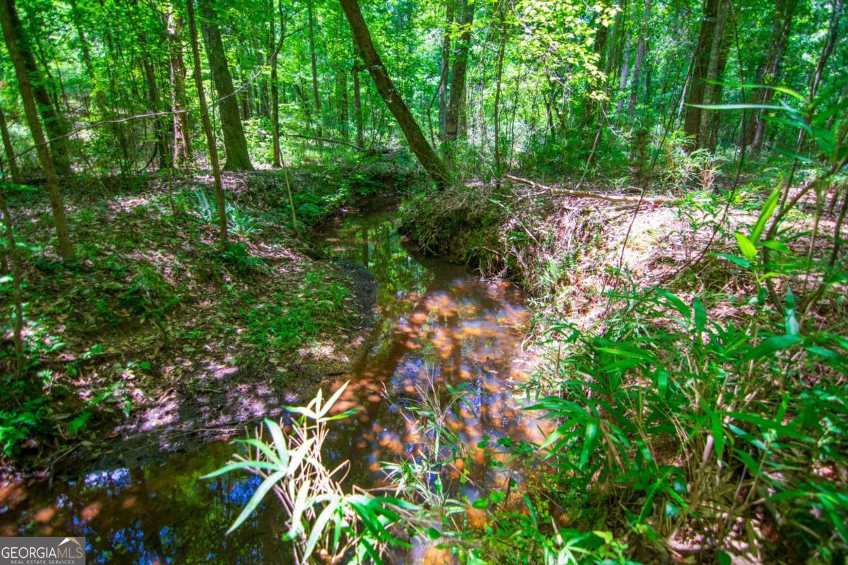 0 White Road Pine Mountain, GA 31822 - Photo 21 of 22 Gallery Image 21