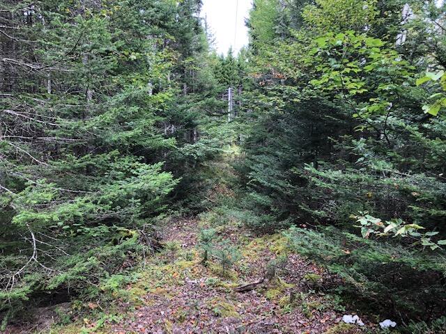 Lot 12 Duck Cove Road Roque Bluffs, ME 04654 - Photo 4 of 9 IMG_3567
