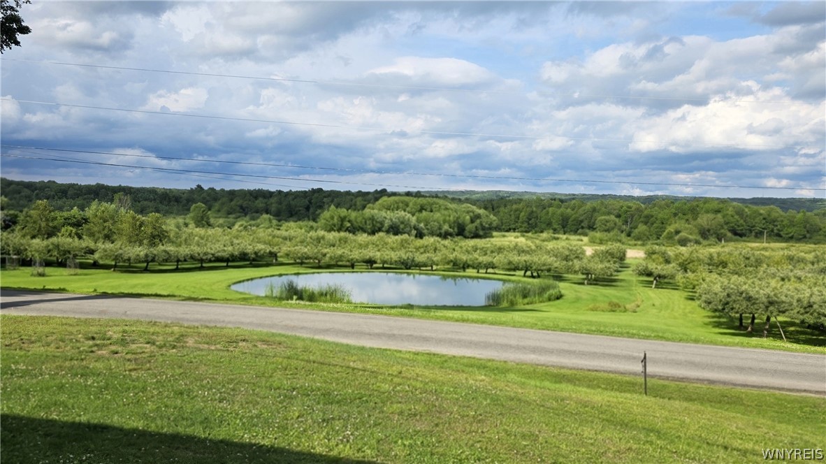 9943 Smith Road Dayton, NY 14138 - Photo 39 of 39