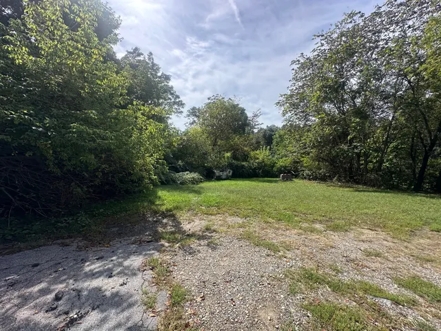 a view of a yard with a trees