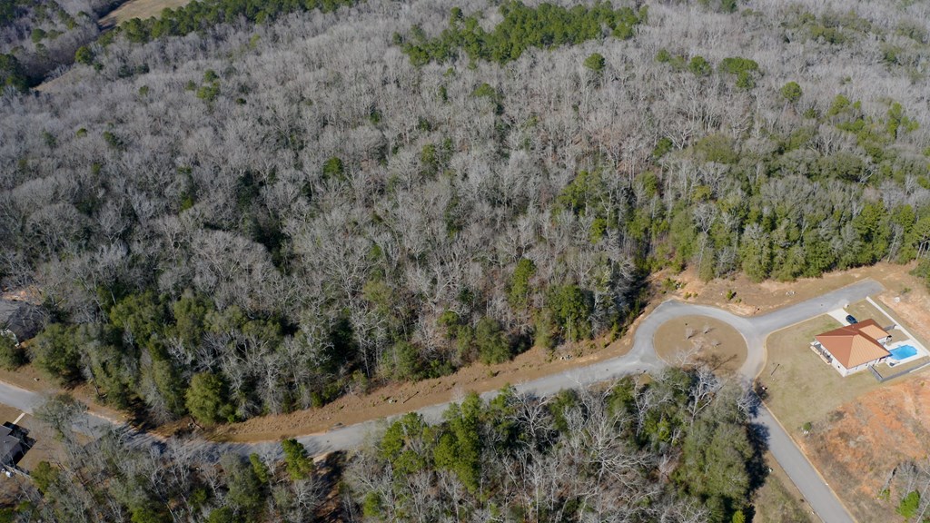 143 Old Village Road Ozark, AL 36360 - Photo 11 of 16